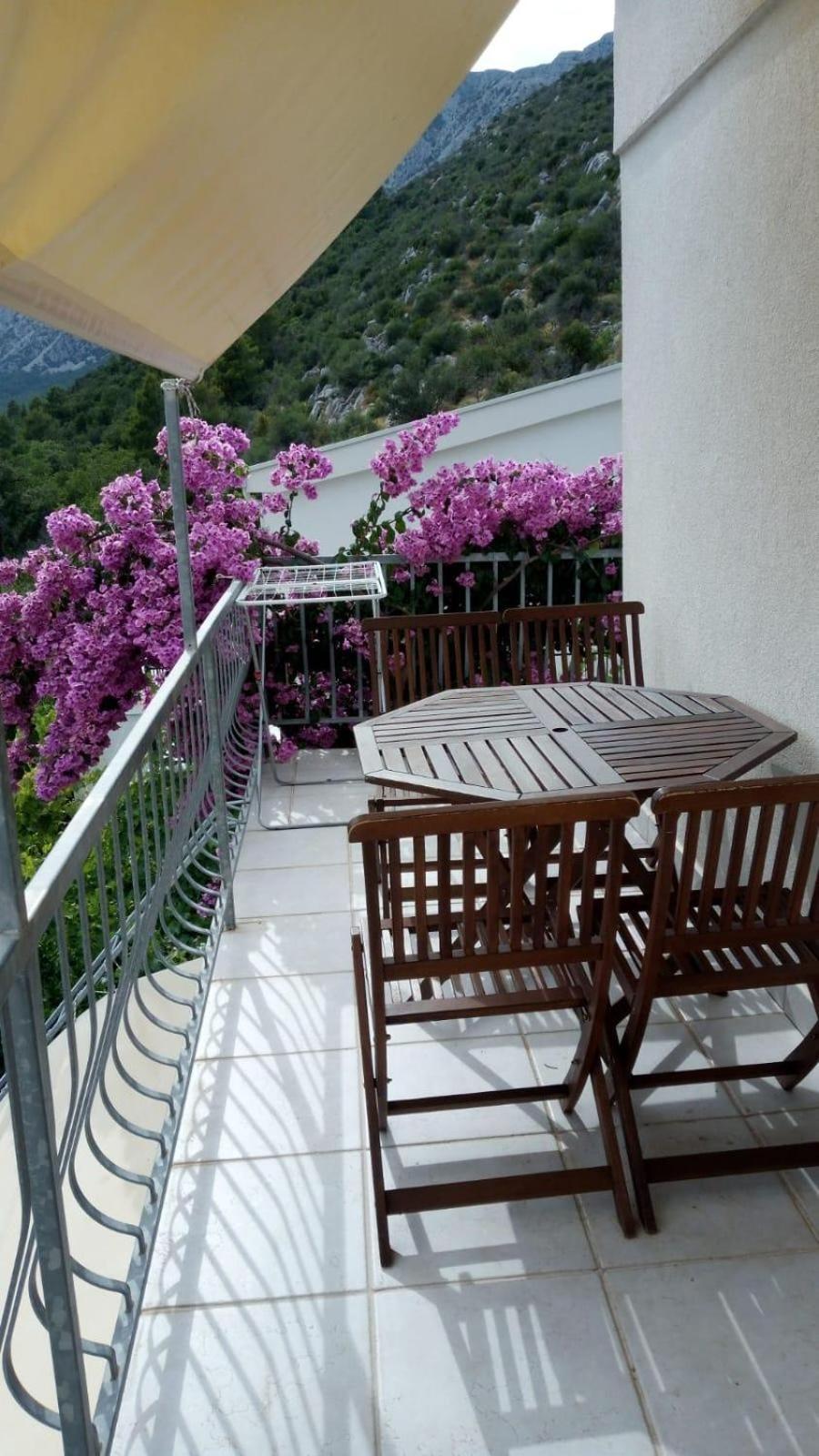 Apartments Villa Vida Orebic Exterior photo